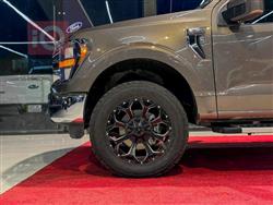 فۆرد F-150